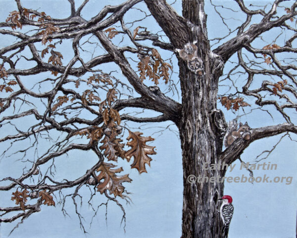 Pin Oak by artist Cathy Martin