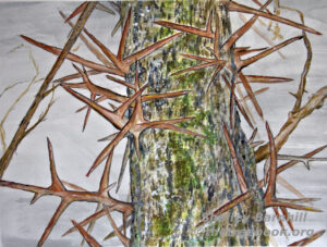 Locust by artist Shelley Barnhill The Treebook Project
