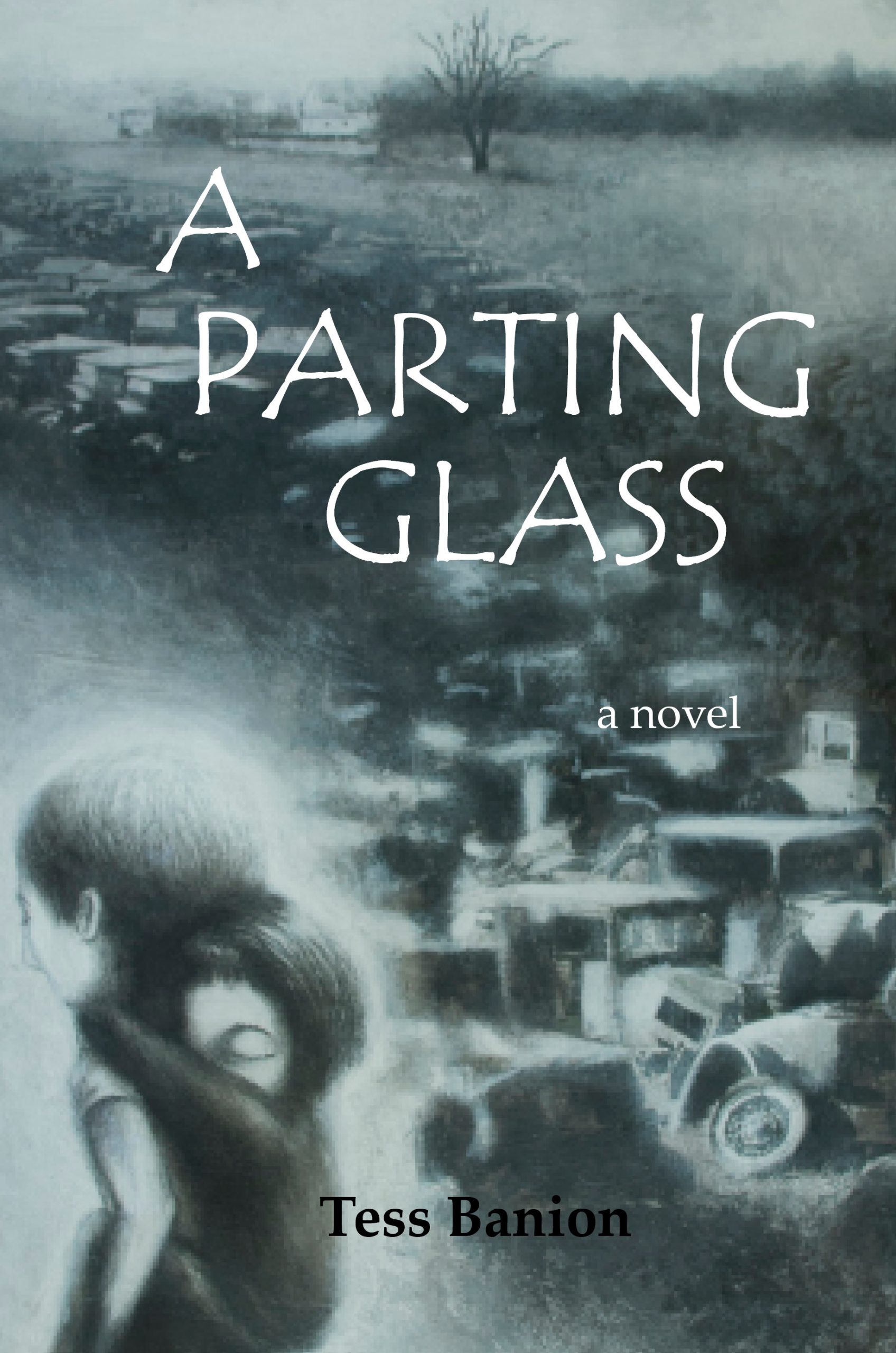 A Parting Glass - a novel by Tess Banion